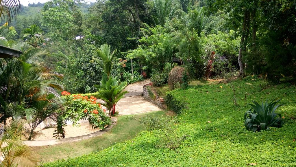 Tea Leaf Retreat Lejlighed Kandy Eksteriør billede