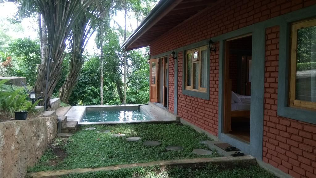 Tea Leaf Retreat Lejlighed Kandy Eksteriør billede