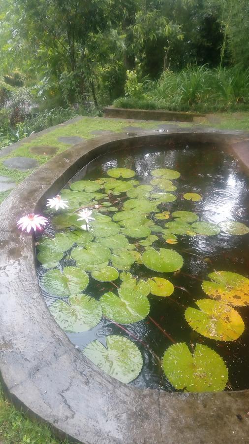 Tea Leaf Retreat Lejlighed Kandy Eksteriør billede